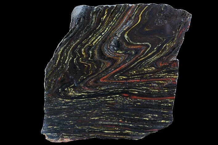 Polished Tiger Iron Stromatolite - ( Billion Years) #69777